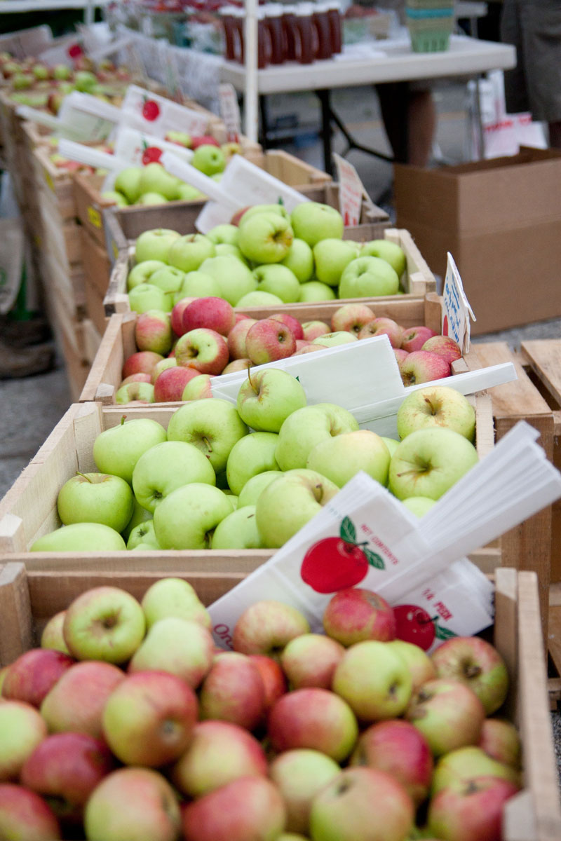 Farmers Market July 31, 2010