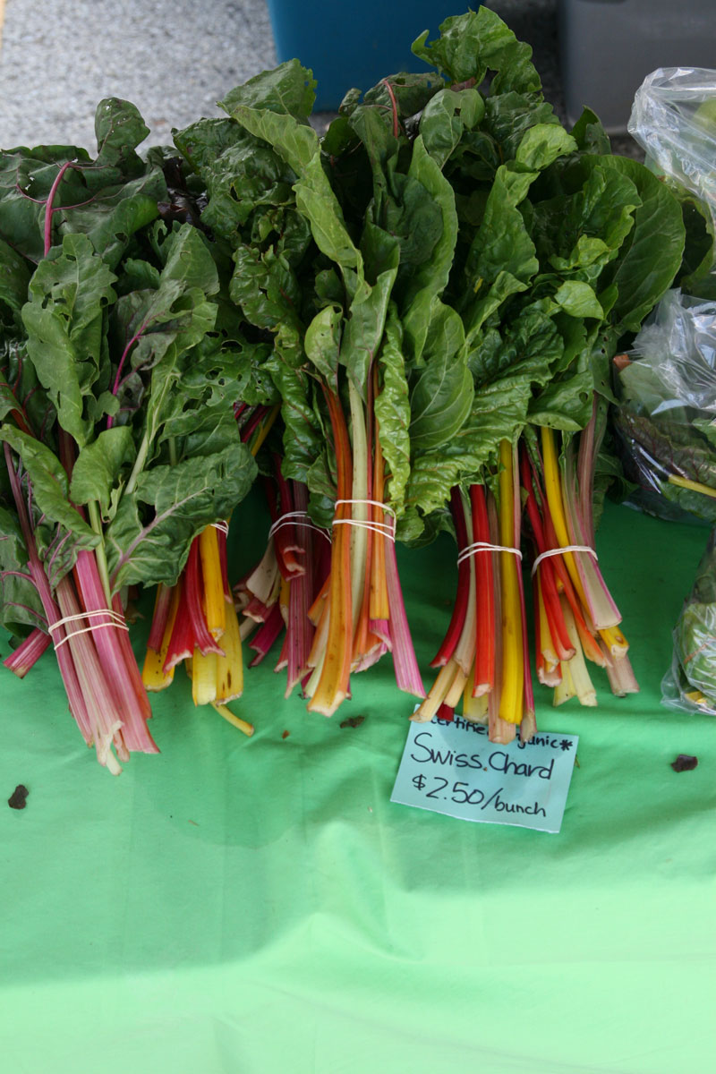 Farmers Market August 14, 2010