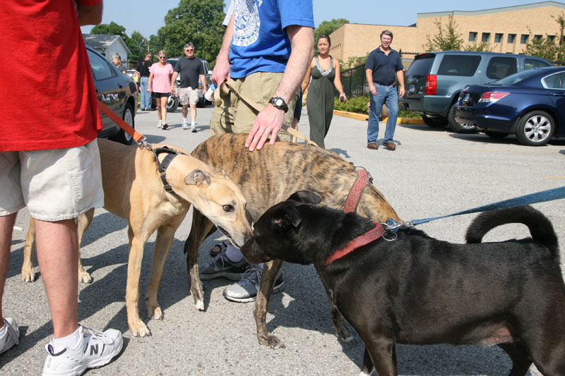 Farmers Market August 14, 2010