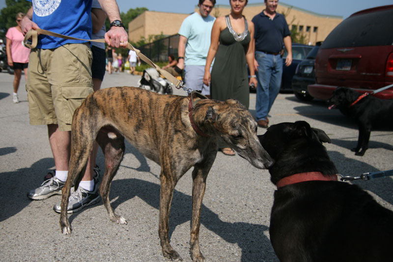 Farmers Market August 14, 2010