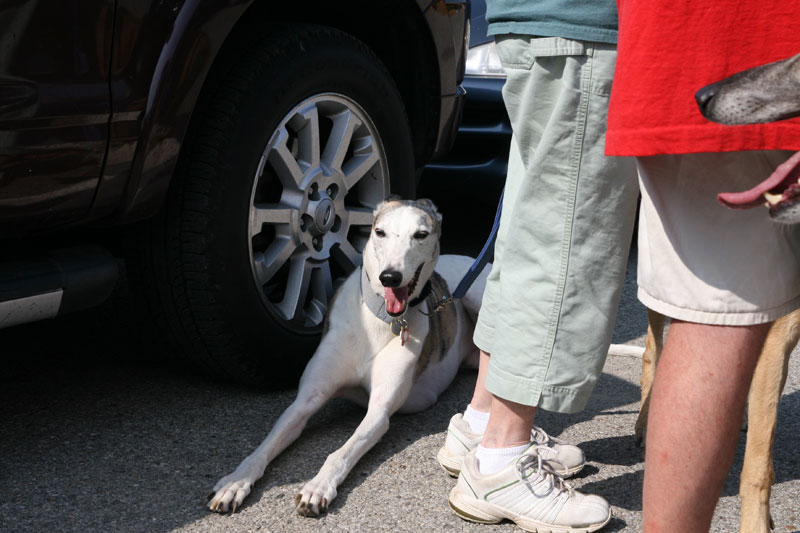 Farmers Market August 14, 2010