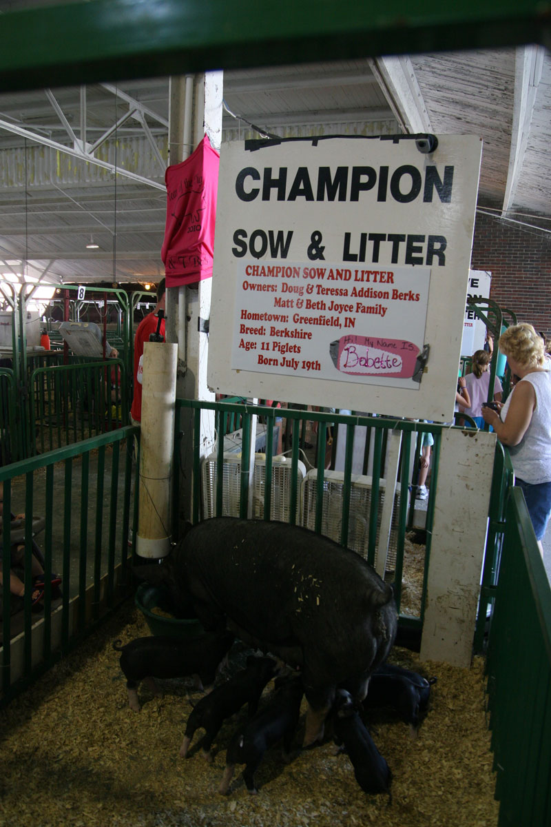 Random Rippling - Gazette-connected State Fair winners and Fair photos