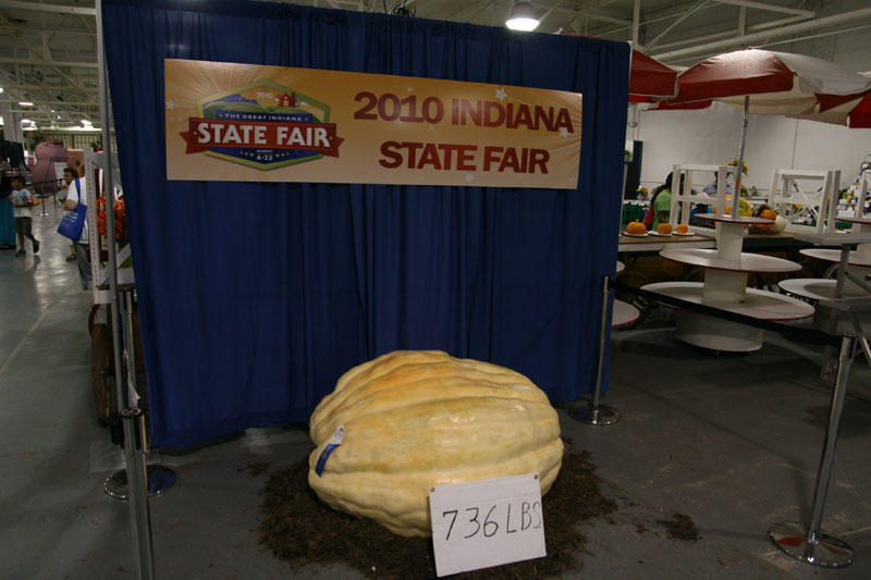 Random Rippling - Gazette-connected State Fair winners and Fair photos