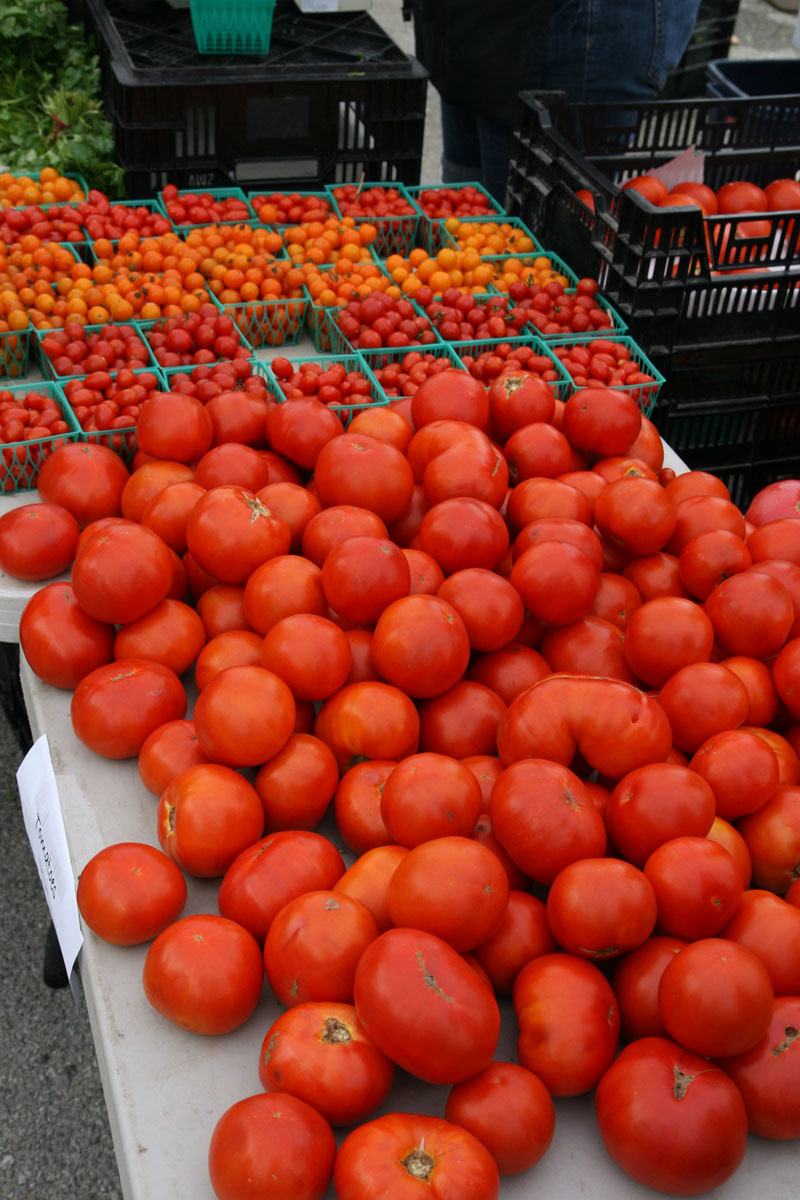 Farmers Market August 14, 2010