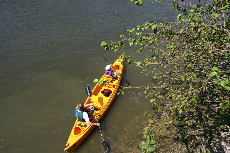 Random Rippling - Indianapolis Amazing Adventure Race