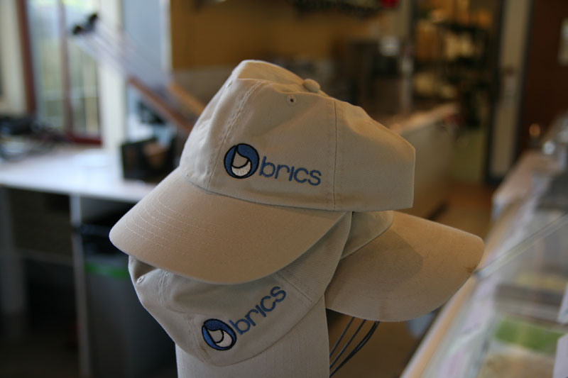 BRICS in the original Monon train station - by Mario Morone