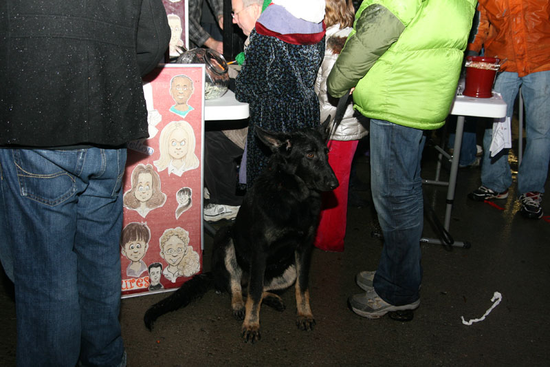 Broad Ripple Lights Up! Event 2010