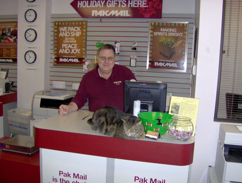 Drew Brand owns and manages Pak Mail in Broad Ripple with feline help from Thunder.