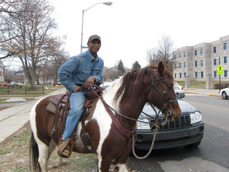 Random Rippling - Horse rider