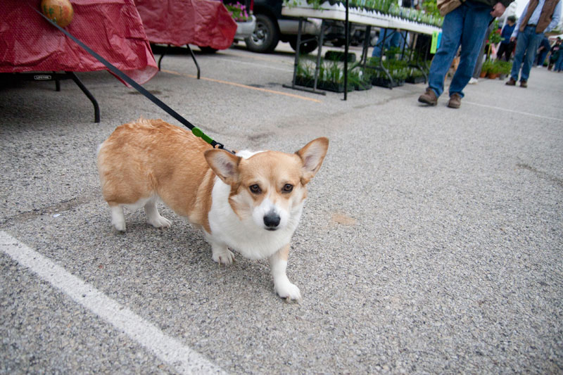 Farmers Market May 7, 2011