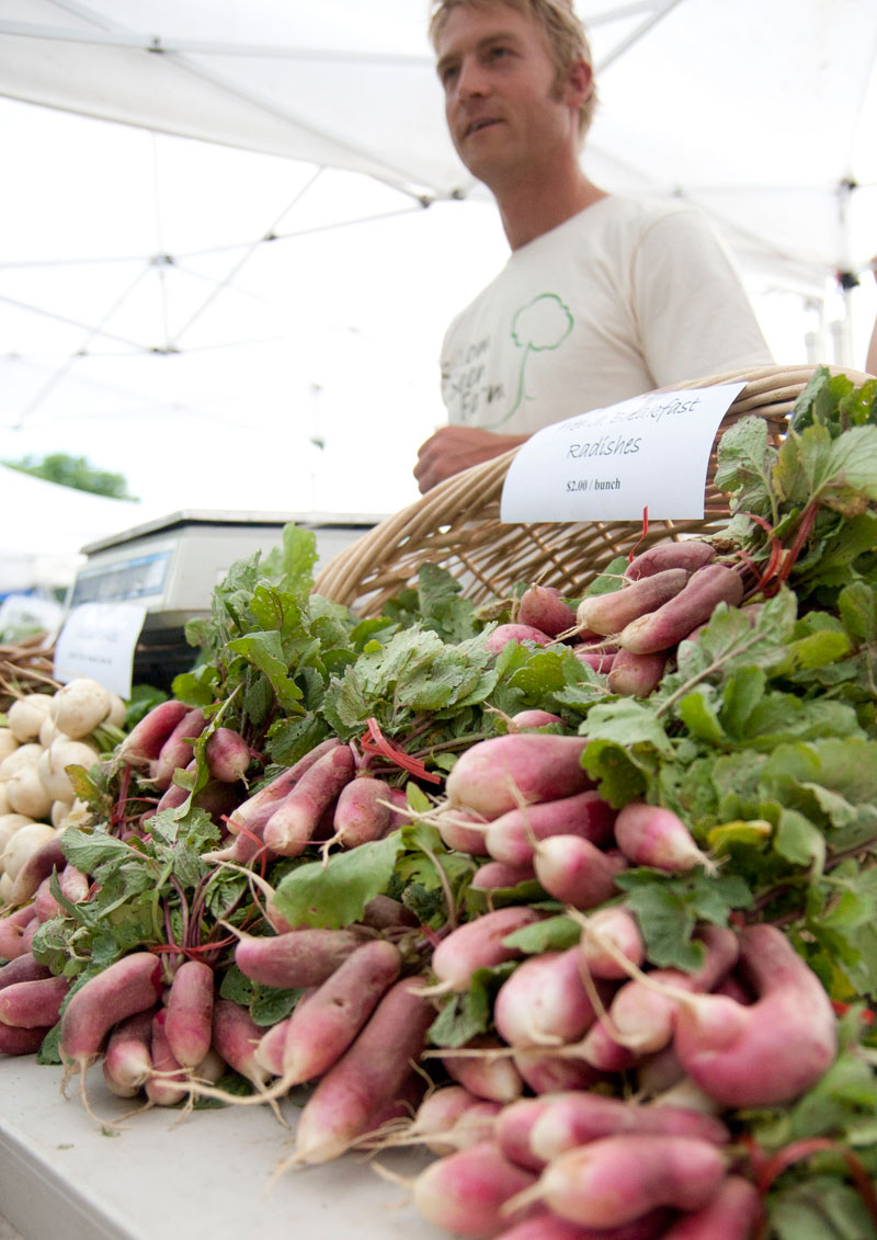 Radishes from Seldom Seen Farm