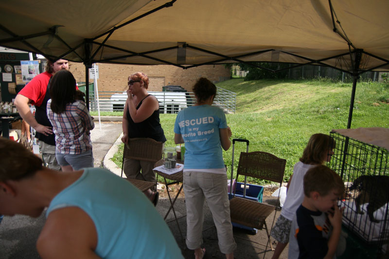 Farmers Market June 11 & 15, 2011