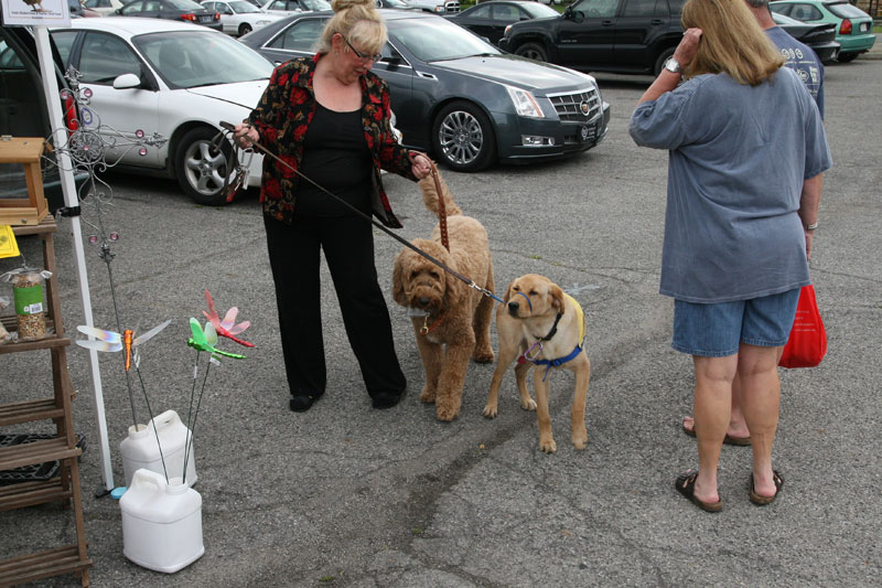 Farmers Market June 11 & 15, 2011