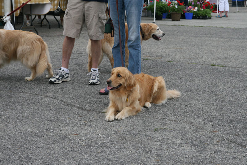 Farmers Market June 11 & 15, 2011