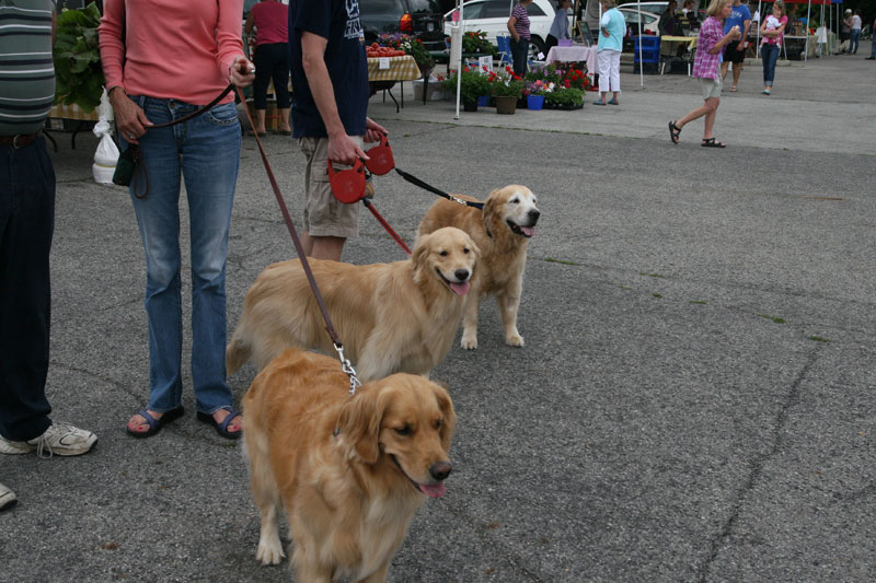 Farmers Market June 11 & 15, 2011