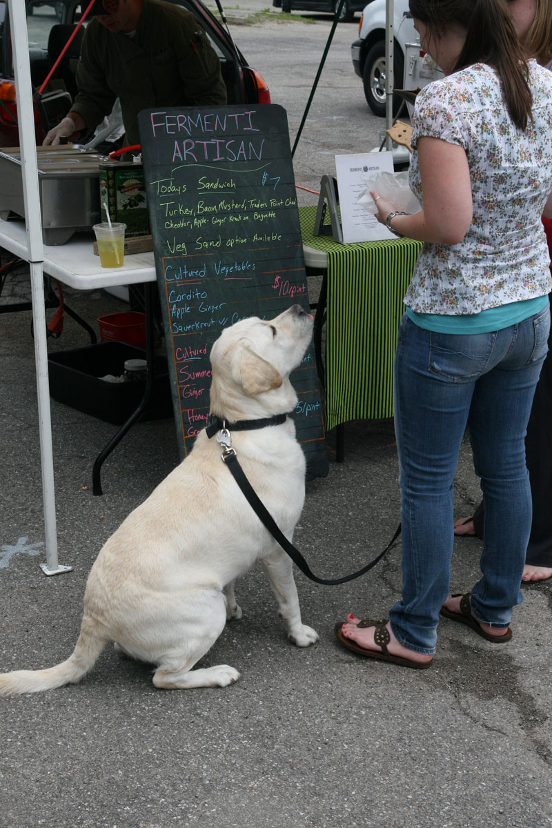 Boss waited patiently for his treat at the Wednesday evening market on June 15.
