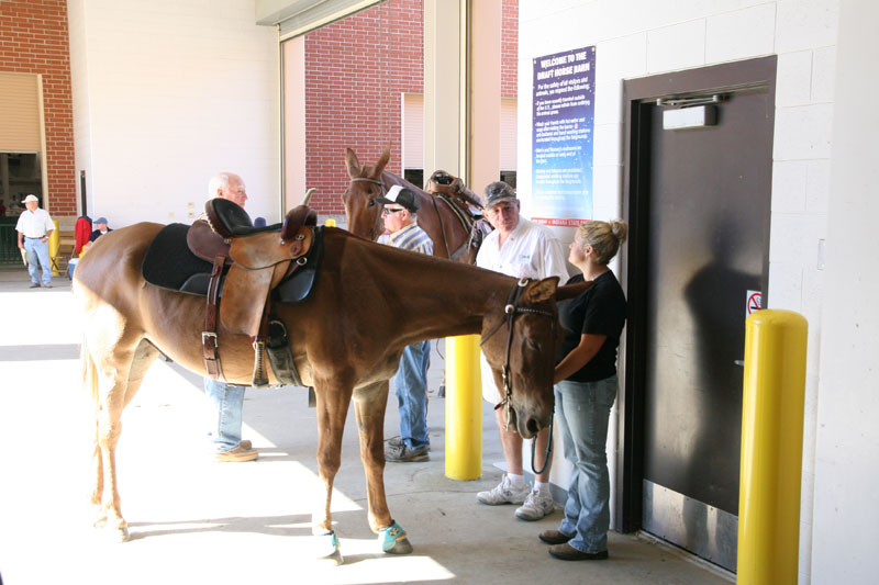 INDIANA STATE FAIR