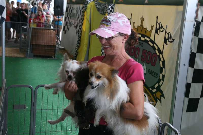 INDIANA STATE FAIR