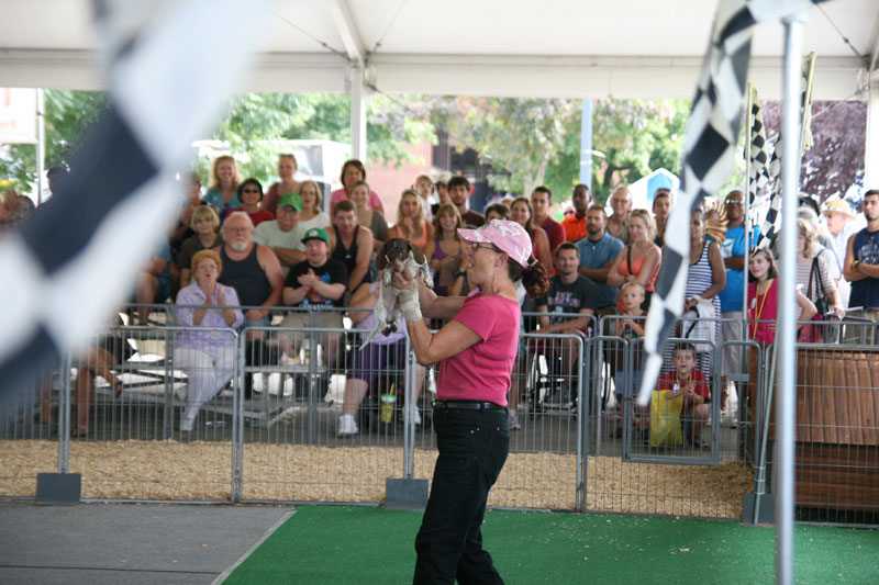 INDIANA STATE FAIR