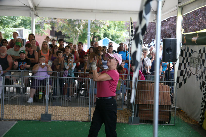 INDIANA STATE FAIR