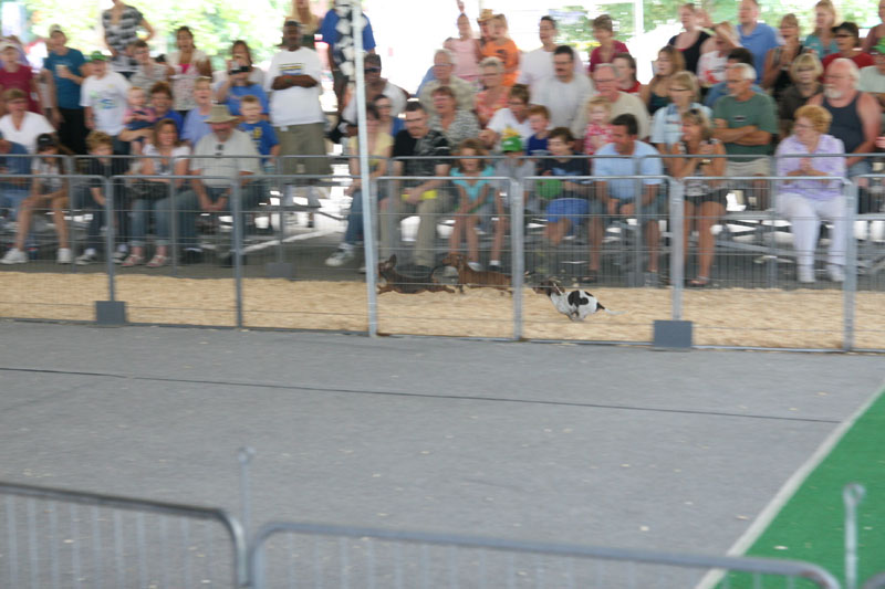 INDIANA STATE FAIR