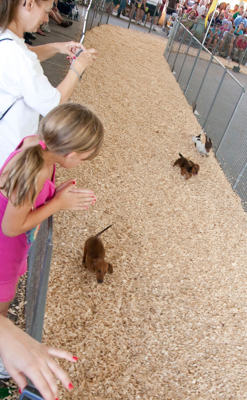 INDIANA STATE FAIR