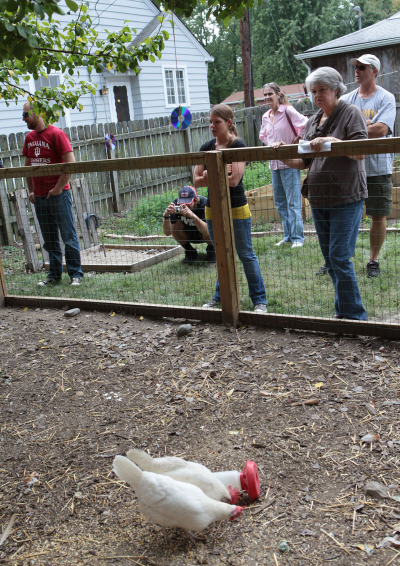 Random Rippling - Tour de Coops 2011 