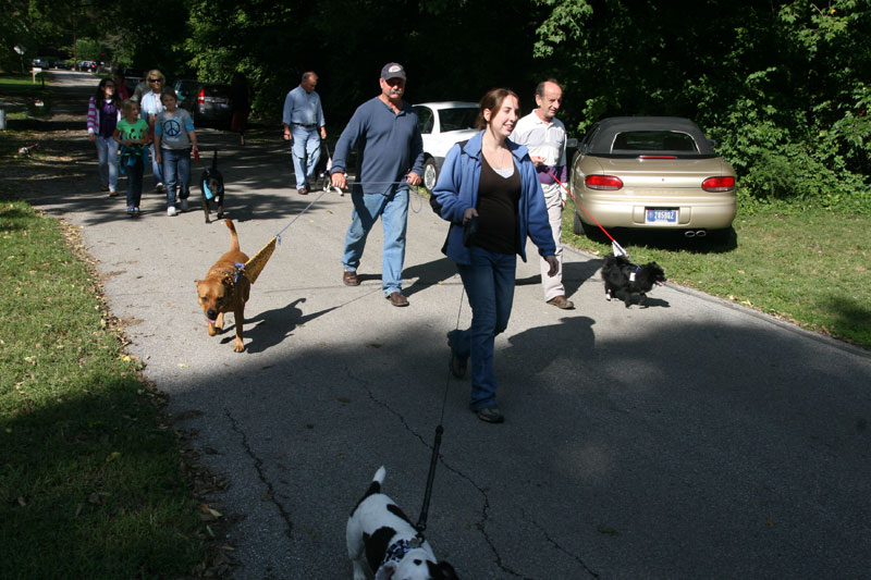 Random Rippling - dog parade 