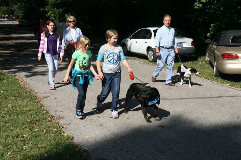 Random Rippling - dog parade 