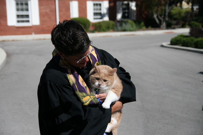 Random Rippling - Pet Blessings
