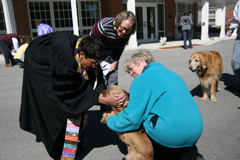 Random Rippling - Pet Blessings