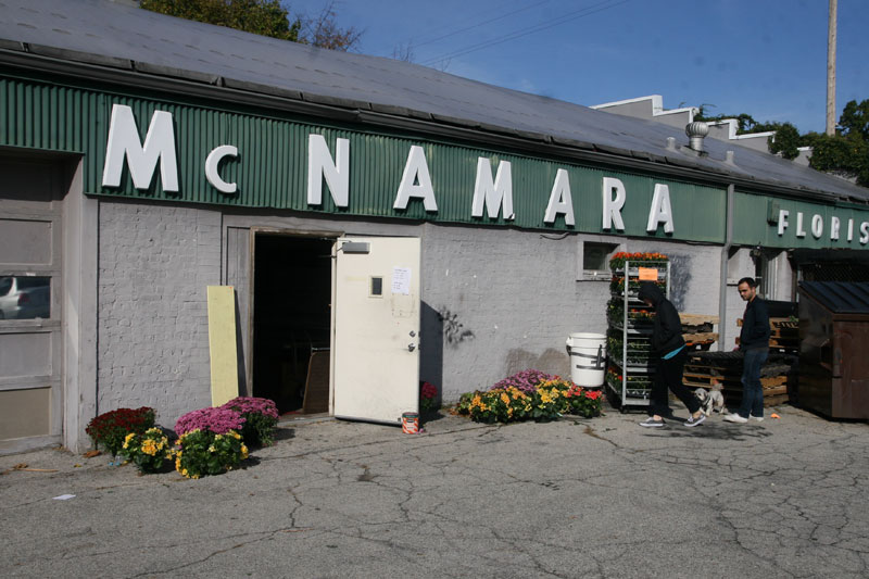 Random Rippling - McNamara Florists moving sale 