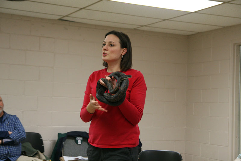 Holliday Park Naturalist Rachel Martin displayed a black ratsnake that can be found in large trees near the White River.