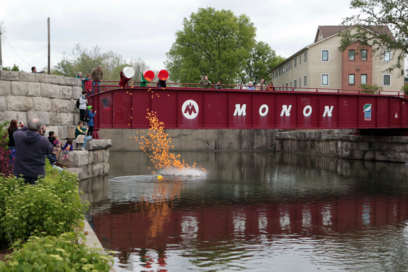 Rubber ducks cascade onto the canal, launching the rubber duck race on April 21, 2012 in celebration of the 175th Birthday of Broad Ripple Village.