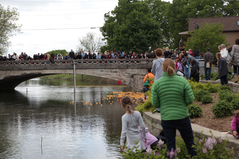 Rubber ducks race to celebrate BR 175th - By Bob Schmidt