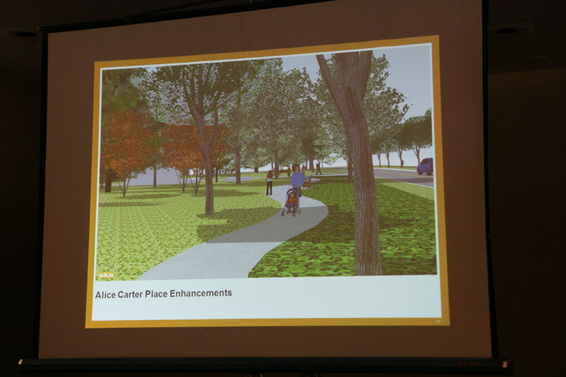 Alice Carter Place meeting held at Rivi