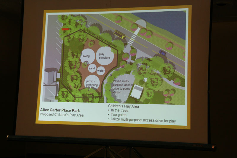 Alice Carter Place meeting held at Rivi