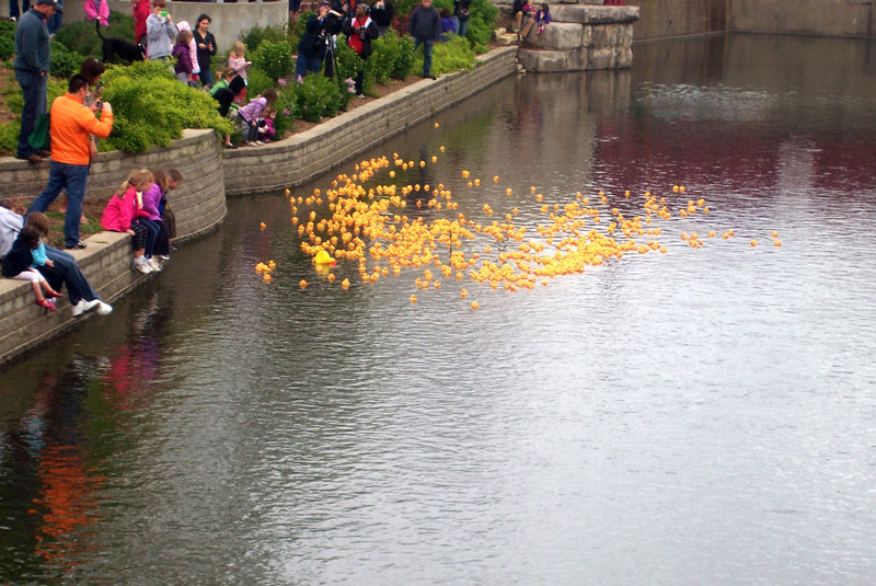 Rubber ducks race to celebrate BR 175th - By Bob Schmidt