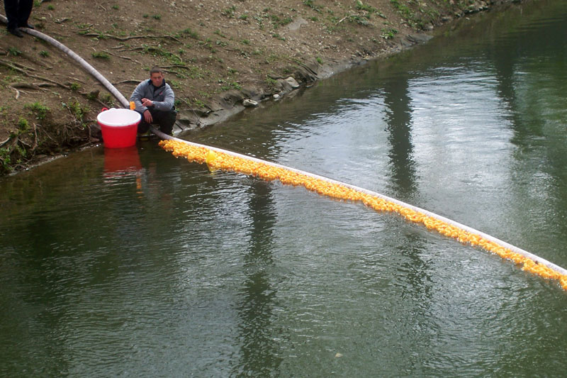 Rubber ducks race to celebrate BR 175th - By Bob Schmidt