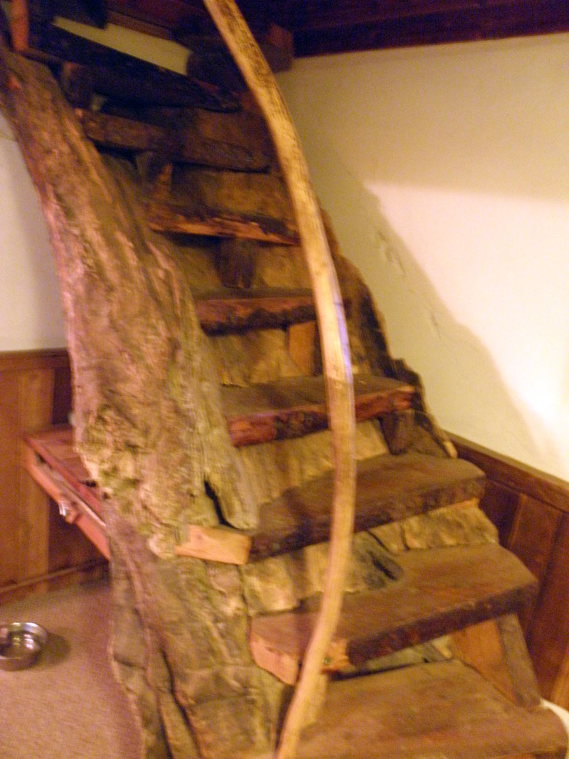 The driftwood staircase inside of Toby's dome home, built by Jim Nelson.