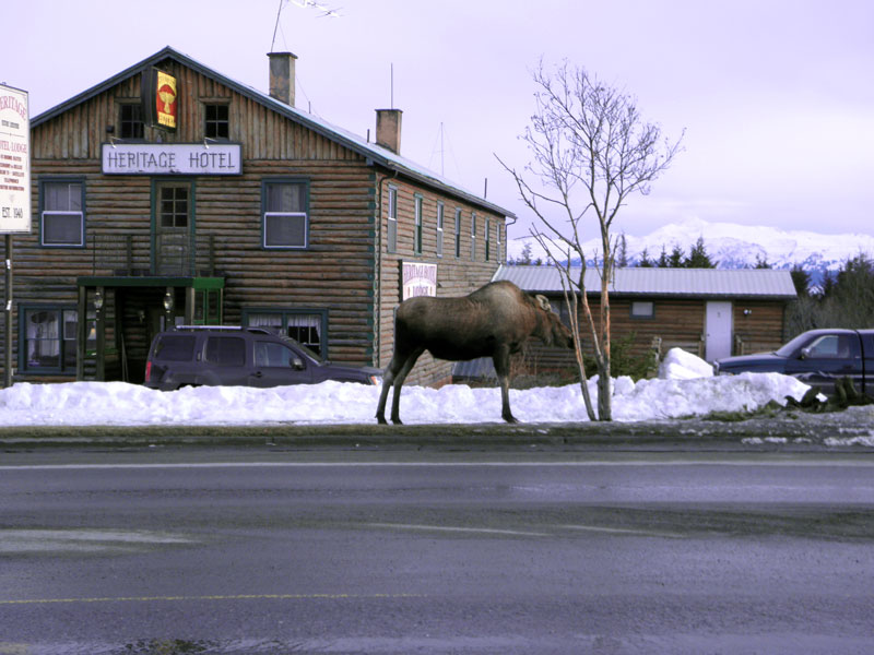 Poetic Thoughts - Homer, Alaska - by C.W. Pruitt II 