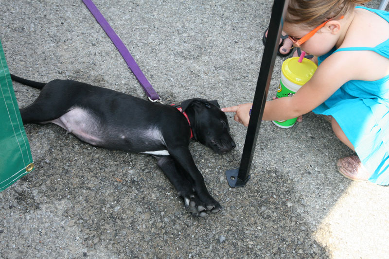 Declan slept right through the adoration of passers-by