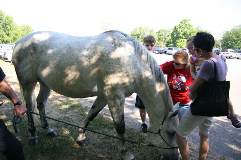 Horns were blaring at annual Touch-A-Truck at Broad Ripple Park