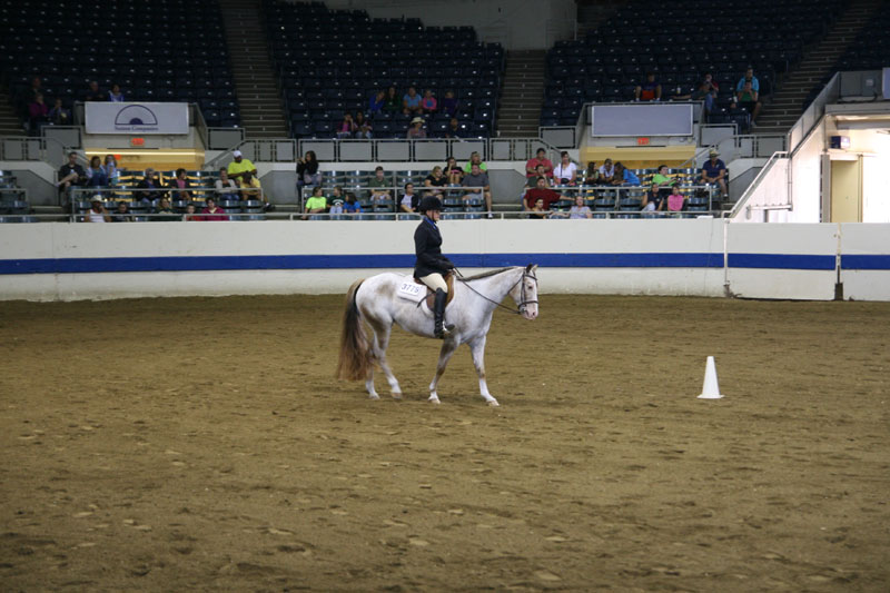 2012 Indiana State Fair pictures