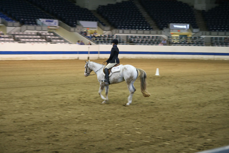 2012 Indiana State Fair pictures