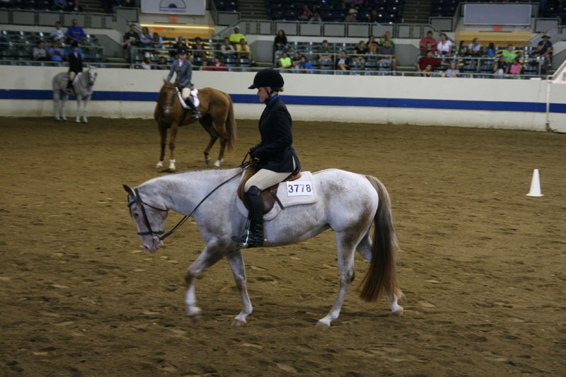 2012 Indiana State Fair pictures