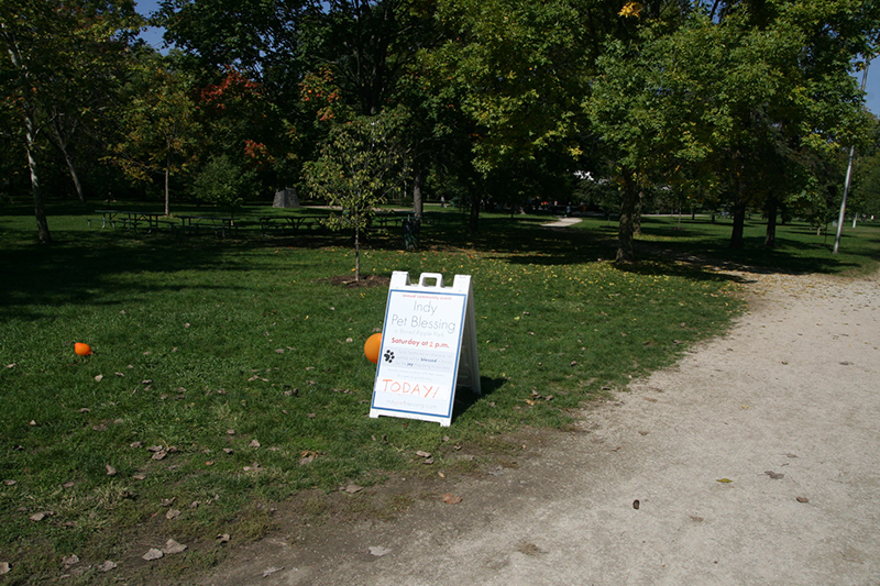 Random Rippling - St. Paul's pet blessing