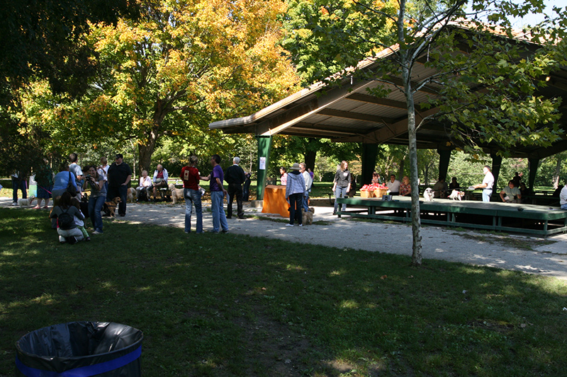 Random Rippling - St. Paul's pet blessing