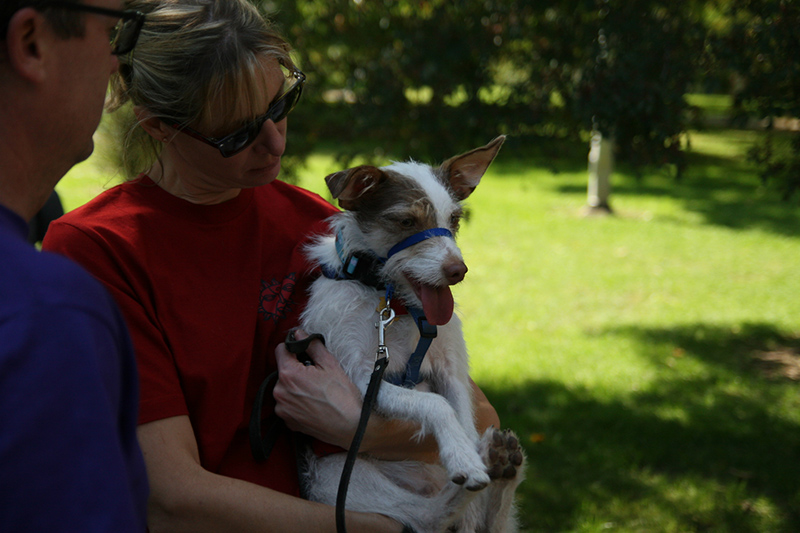 Random Rippling - St. Paul's pet blessing