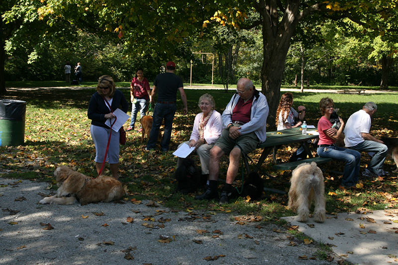 Random Rippling - St. Paul's pet blessing